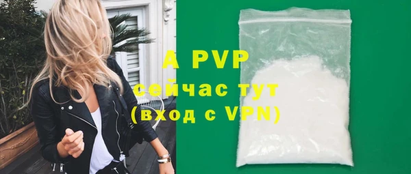 дживик Ростов
