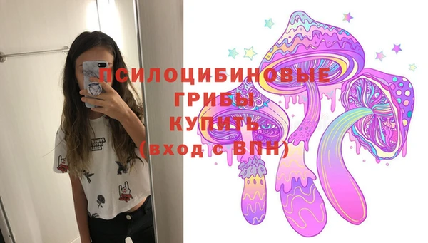 спиды Богородицк